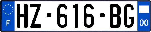 HZ-616-BG