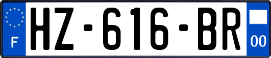 HZ-616-BR