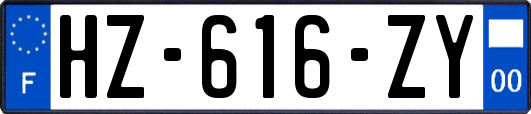 HZ-616-ZY