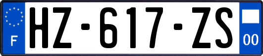 HZ-617-ZS
