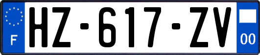 HZ-617-ZV