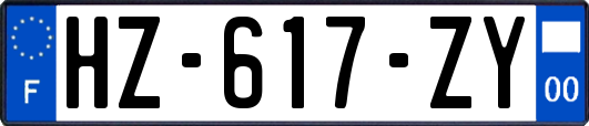 HZ-617-ZY