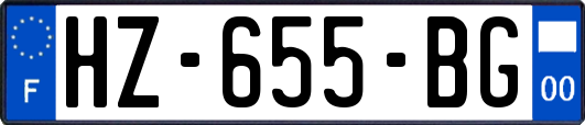 HZ-655-BG