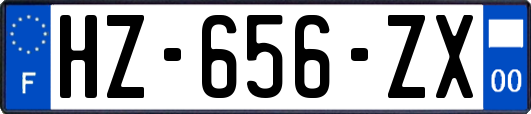 HZ-656-ZX