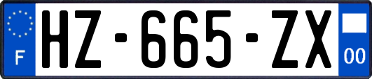 HZ-665-ZX