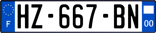 HZ-667-BN