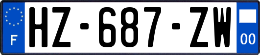 HZ-687-ZW