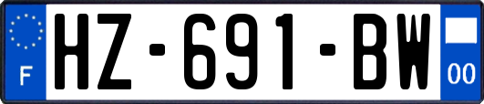 HZ-691-BW