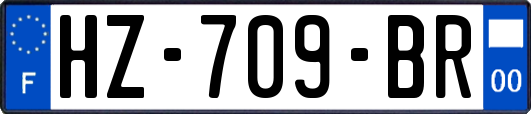HZ-709-BR