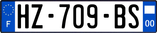 HZ-709-BS