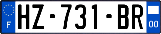 HZ-731-BR