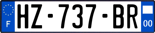 HZ-737-BR