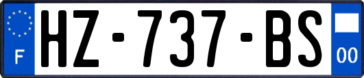 HZ-737-BS