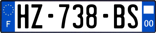 HZ-738-BS