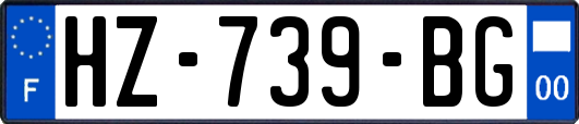 HZ-739-BG