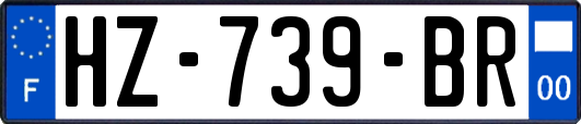 HZ-739-BR