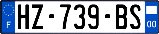 HZ-739-BS