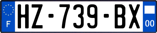 HZ-739-BX