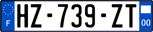 HZ-739-ZT