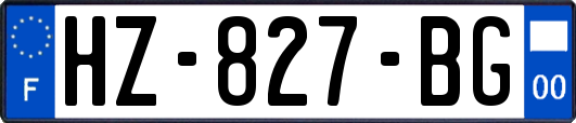 HZ-827-BG