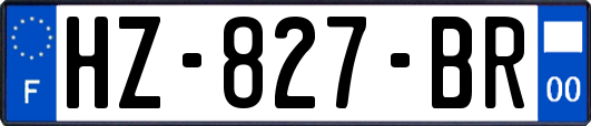 HZ-827-BR