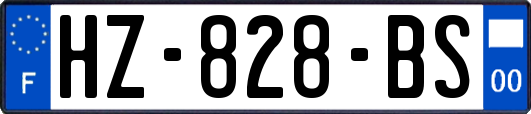 HZ-828-BS