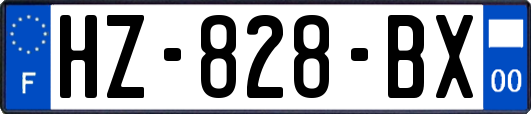 HZ-828-BX