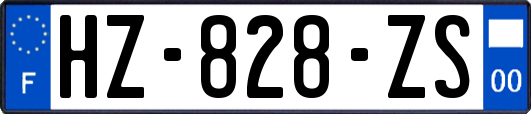 HZ-828-ZS
