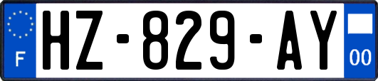 HZ-829-AY