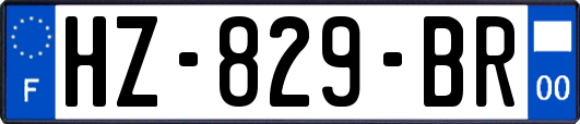 HZ-829-BR