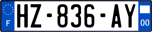 HZ-836-AY