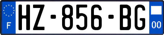 HZ-856-BG