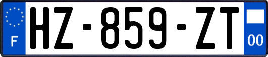 HZ-859-ZT