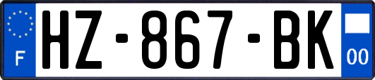 HZ-867-BK