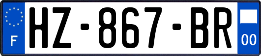 HZ-867-BR