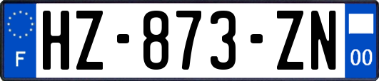 HZ-873-ZN