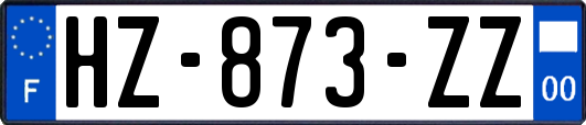 HZ-873-ZZ