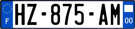 HZ-875-AM