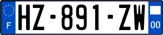 HZ-891-ZW