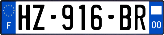 HZ-916-BR