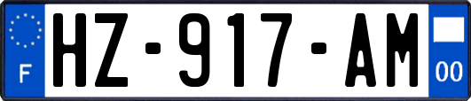 HZ-917-AM