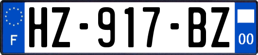 HZ-917-BZ