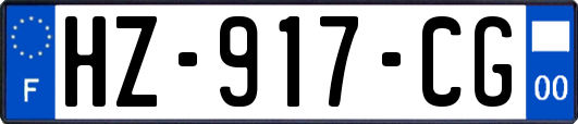 HZ-917-CG