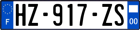 HZ-917-ZS