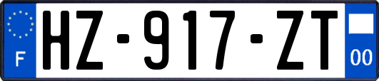HZ-917-ZT