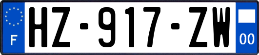 HZ-917-ZW