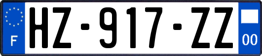 HZ-917-ZZ