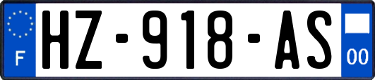 HZ-918-AS