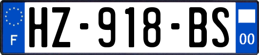 HZ-918-BS