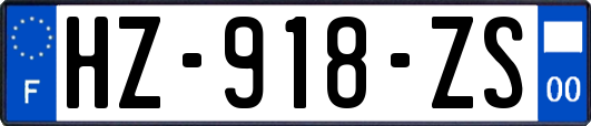 HZ-918-ZS